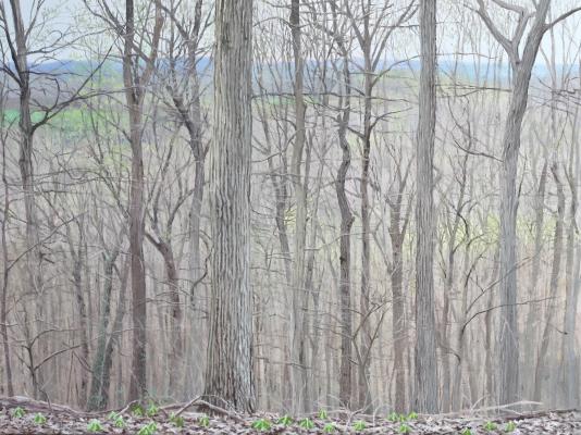 Bill Short's Ridge. 2023. oil on linen. 18 x 24.