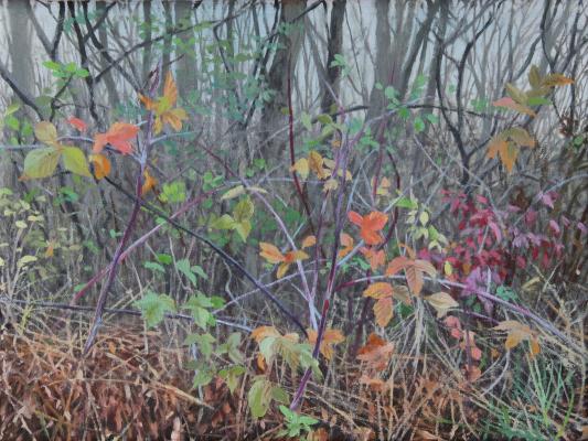 Autumn Raspberries. 2024. oil on linen. 9 x12.